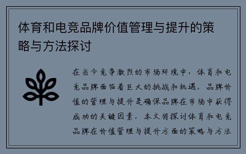 体育和电竞品牌价值管理与提升的策略与方法探讨
